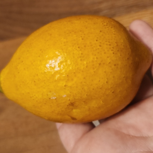 Realistic Faux Lemons, Set of Four - Picture 11 of 12
